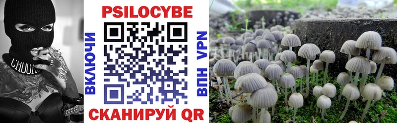 купить  цена  Славск  Псилоцибиновые грибы мицелий 